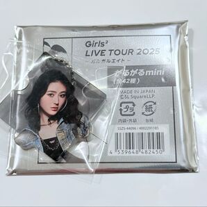 Girls2 ガルガルエイト がるがるmini パズルキーホルダー モモカ
