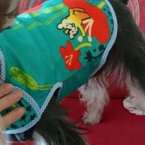 中型犬5〜6㌔用 撥水加工泥除け・防寒ベスト ハンドメイド難あり