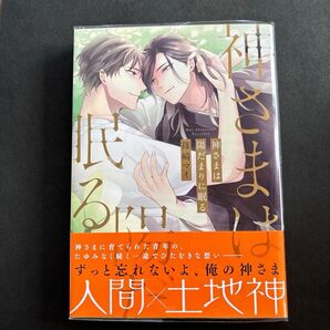 神さまは陽だまりに眠る 篠崎マイ