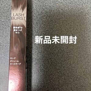 KATE ラッシュバースト(ロングボリュームカールキープ)