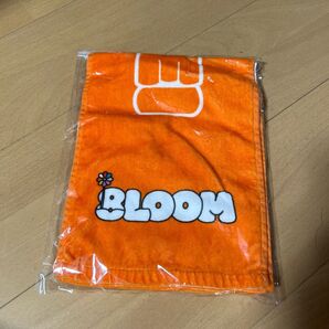 8loom 森しゅーと タオル