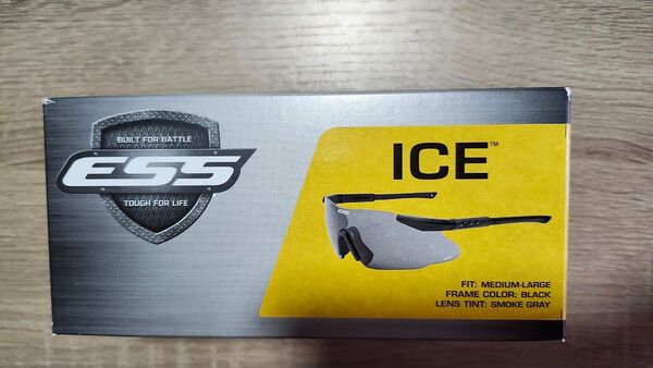 ESS ICE サングラス ブラック スモークグレー