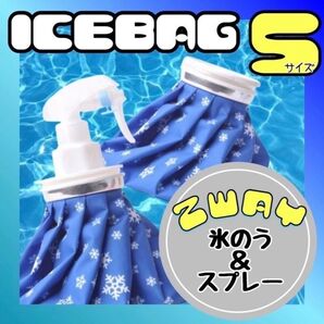 氷のう 氷嚢 S アイスバッグ スプレー アイシング 熱中症対策 冷温両用