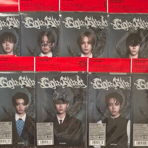 &TEAM Go in Blind 月狼 CD ソロ 9形態セット