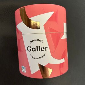Galler ミルク・ダークチョコレート 10個入り ガレー