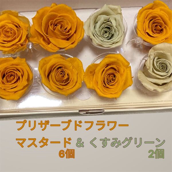 プリザーブドフラワー マスタード6個&くすみグリーン 2個 練習用 花材