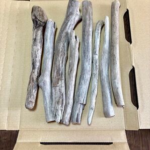 流木001 細いサイズ 8本セット ハンドメイド 工作素材 流木