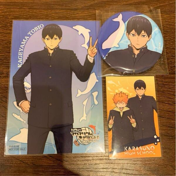 ハイキュー アクアリウムキャラバン 影山飛雄 日向翔陽