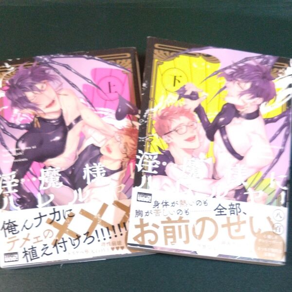 BL 八百 淫魔様にハレルヤ! 上下