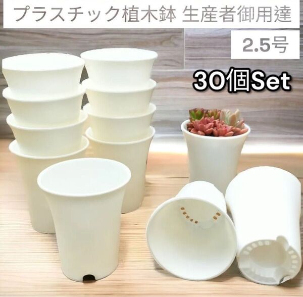 プラ鉢 30個セット ポット 2.5号 植え替え 多肉植物 植木鉢 植木鉢 ホワイト 多肉植物 ガーデニング スリット鉢