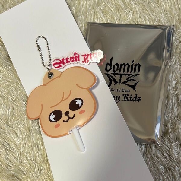 StrayKids World Tour ランダムミニうちわキーホルダー