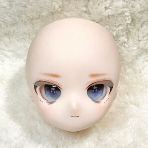 DDH-01 ディーラー様製 カスタムヘッド SW肌 ドルフィードリーム