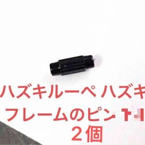 新品 純正ピン2個 ハズキルーペ ハズキ フレーム テンプルのピン HAZUKI ハズキラージ ピン テンプル 純正パーツ 純正品