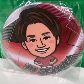 浦和レッズ イラストプレイヤーズ缶バッジ 関根選手