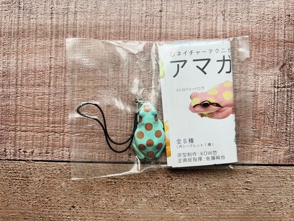 アマガエル アイスクリームカラーストラップ(チョコミント)