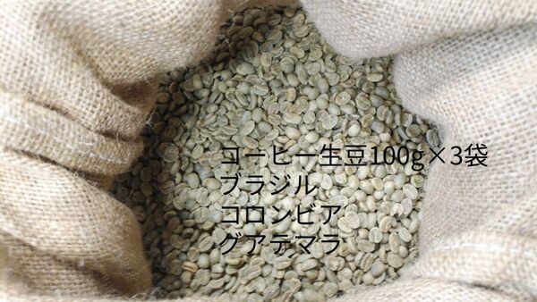 コーヒー生豆100g×3袋(ブラジル,コロンビア,グアテマラ各100g)