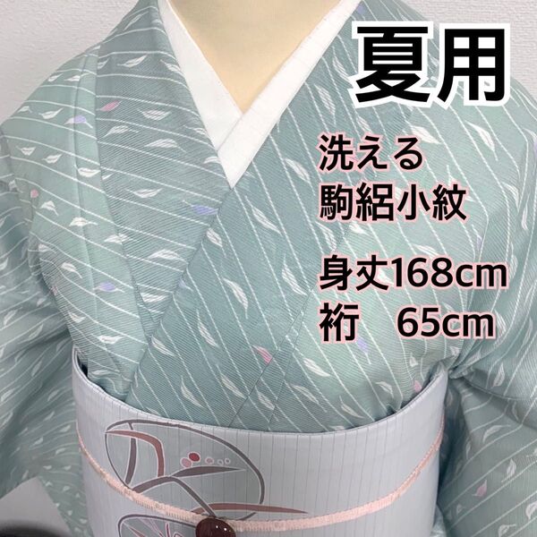 ◆450◆着物ライフ満喫◆洗える 夏用 小紋 駒絽 葉模様