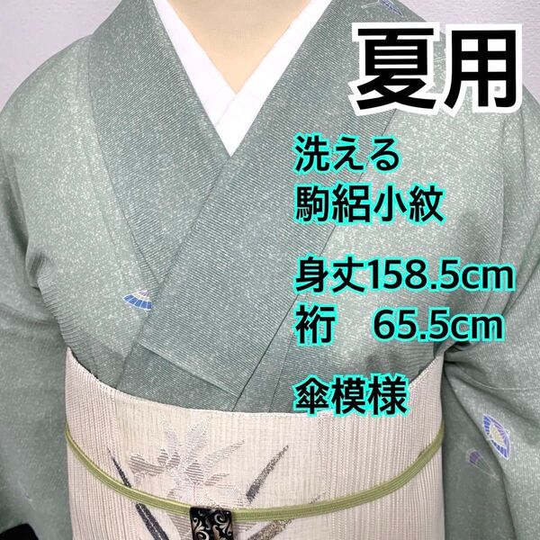 455◆着物ライフ満喫◆洗える夏用 駒絽小紋