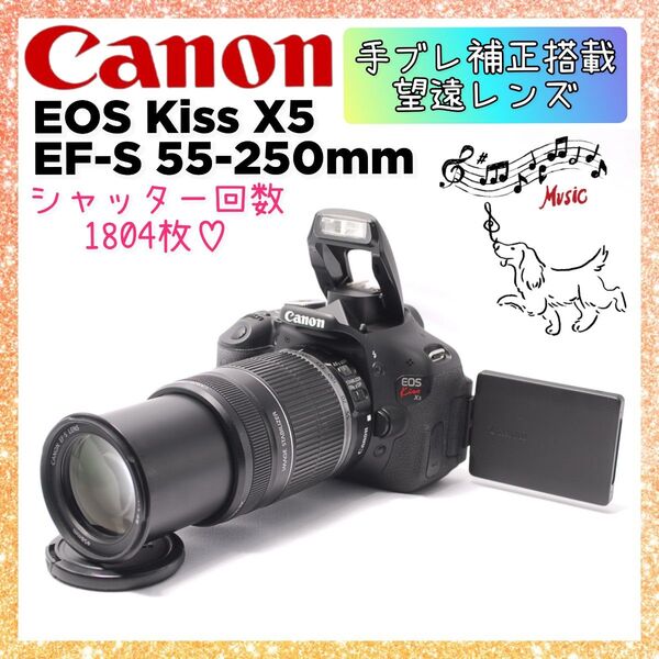 ★即購入1000円OFF★ キャノン Canon Kiss X5 手ブレ補正 望遠レンズ EF-S 55-250mm IS