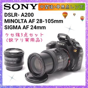 ★即購入1000円OFF★ ソニー SONY α200 愛すべきクセ強めの相棒たち MINOLTA SIGMA 単焦点レンズ