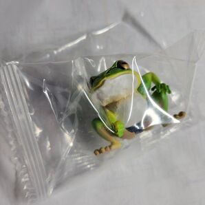 蛙力士 小結 フィギュア