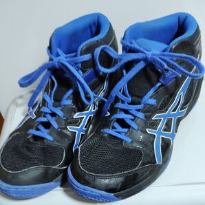 asics バスケットシューズ 25cm