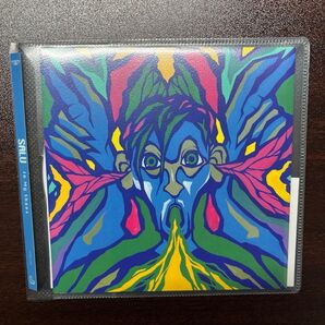 IN MY SHOES - SALU