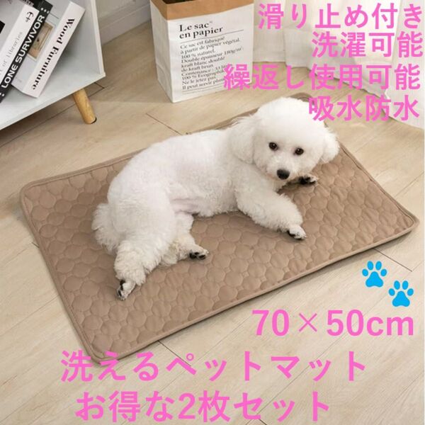 ペットマット ベージュ ペットシーツ 70×50cm 2枚セットトイレシート 猫 犬 洗える 防水