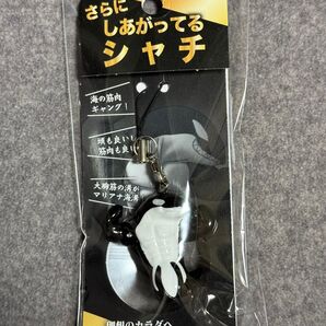 【神戸須磨シーワールド限定】さらにしあがってるシャチ ストラップ キーホルダー 新品
