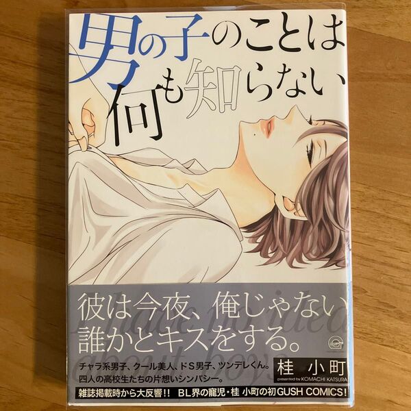 男の子のことは何も知らない 桂小町