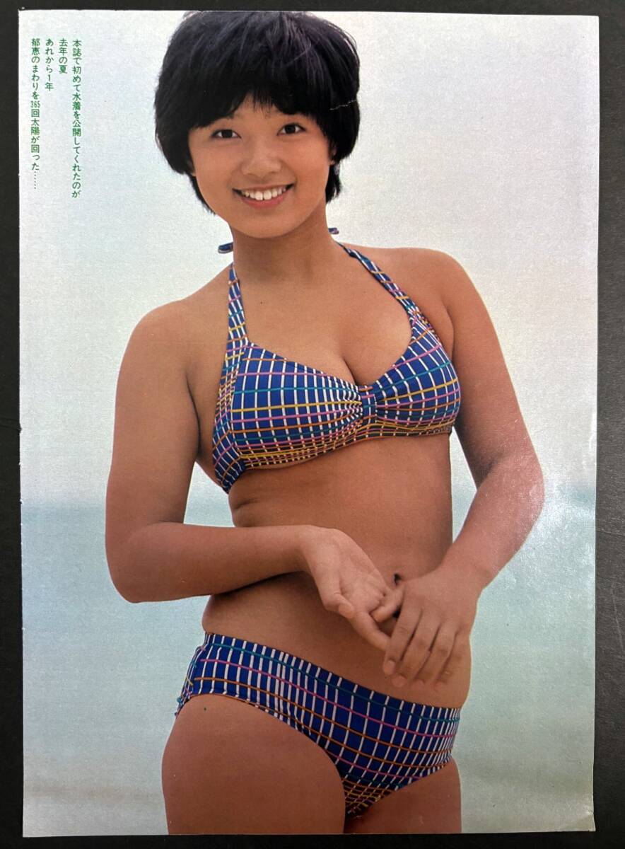 Yahoo!オークション -「榊原郁恵 水着」(切り抜き) (印刷物)の