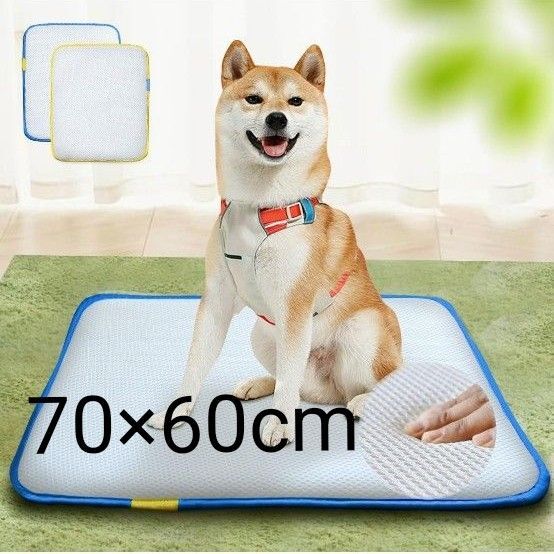 ペットシーツ 老犬 猫 介護用 トイレシート ペット用 2枚セット おしっこマット ペットマット速乾 洗える 抗菌 犬用