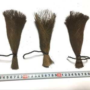 【激安】メダカの産卵床中3個セット めだか 煮沸済 天日干し済み しゅろ 高品質