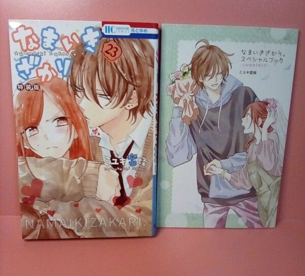 なまいきざかり23巻 ミユキ蜜蜂 特装版 スペシャルブック