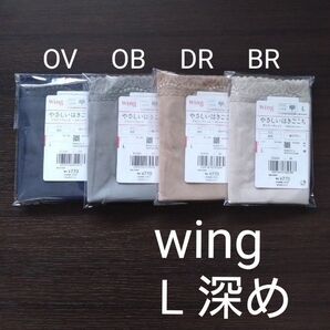 ウイング デイリーフィットショーツ L4枚