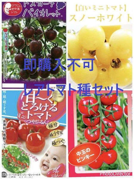 5《レアトマト 種 4種 40粒セット》増量中♪