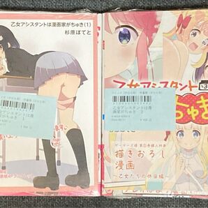 乙女アシスタントは漫画家がちゅき 1巻2巻2冊セット ゲーマーズ特典かきおろしブックレット付き