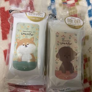 ウエットティシュ 除菌 2個セット