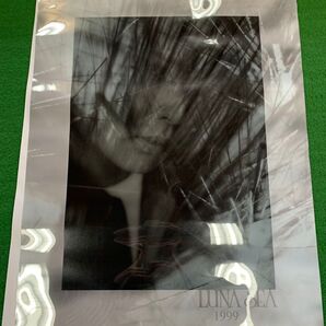 LUNA SEA カレンダー 1999年