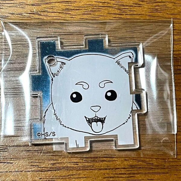銀魂展 銀魂 アクリルパズル パズル 定春 万事屋