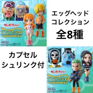 ワンピの実 エッグヘッドコレクション 第一弾 第二弾 全8種 コンプ