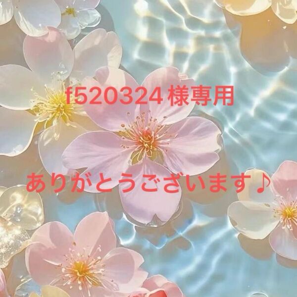 【f520324様】デコパーツ