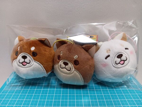 忠犬 もちしば☆フェイスマスコット☆3個まとめて