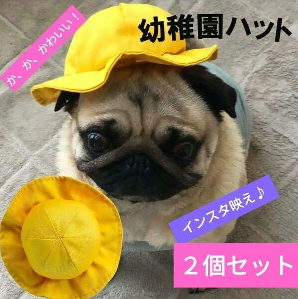 新品 2個セット犬用帽子 ちくわちゃん幼稚園ハットペット用品
