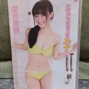 新井花菜 DVD イメージ アイドル