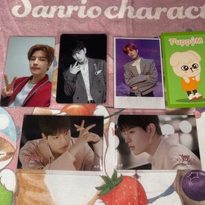 stray kids スキズ スンミン トレカ オンラインくじ ステッカー skzoo