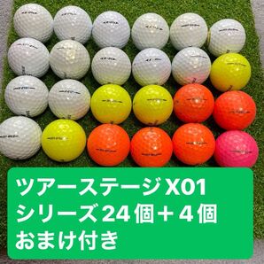 ツアーステージX01シリーズ24個+4個おまけ付き送料無料