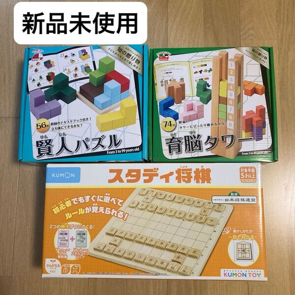 知育玩具 KUMON スタディ将棋 くもん出版 公文 くもん 木製 育脳タワー 賢人パズル エドインター E d.Inter