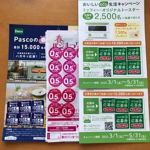 フジパン ヤマザキ パスコ キャンペーン 2025 春