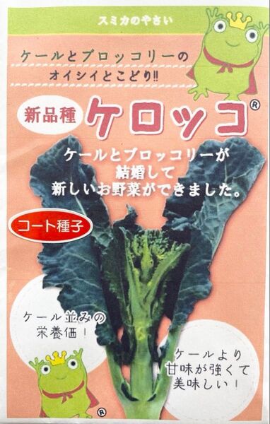 ケールとブロッコリーのイイトコどり 新野菜ケロッコ コート種子40粒